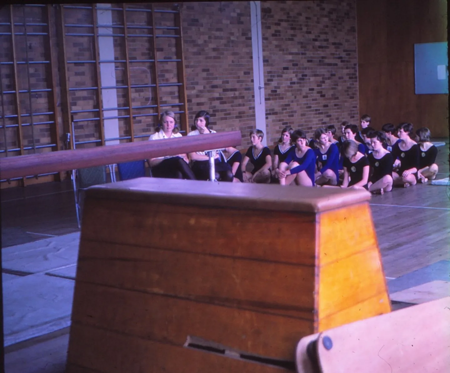 1967qgsssa-artistic-gymnastics-competition-held-in-bggs-gymnasium-with-wall-bars-against-the-wall