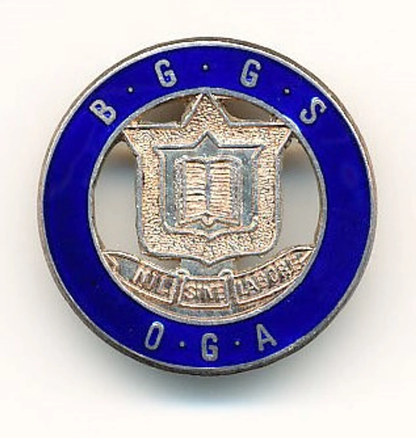 oga-badge-2